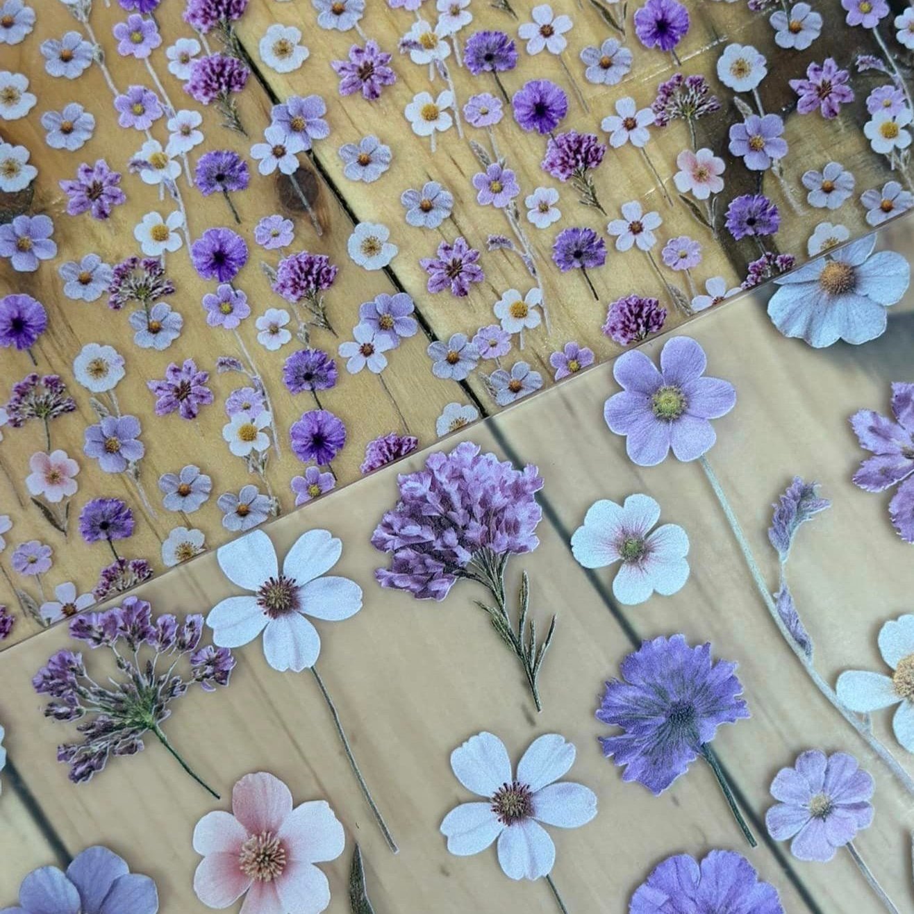 Imperial Purple Pressed Flowers