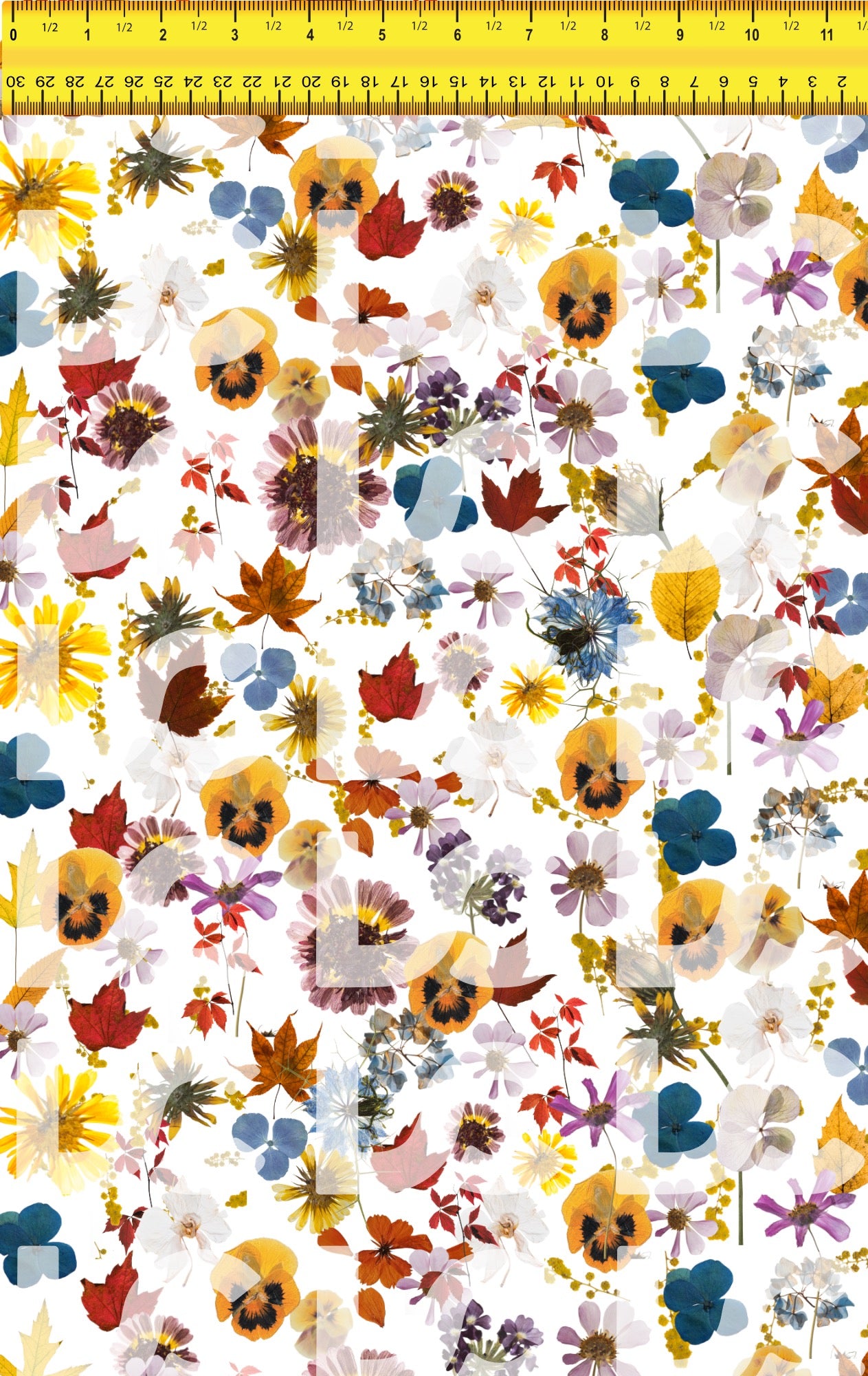 Autumnal Equinox Pressed Flowers