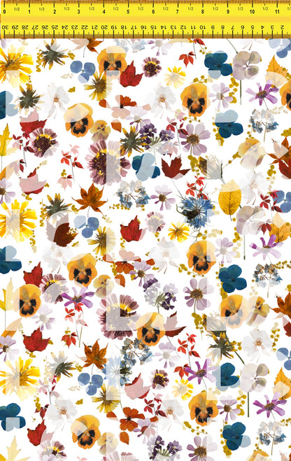 Autumnal Equinox Pressed Flowers