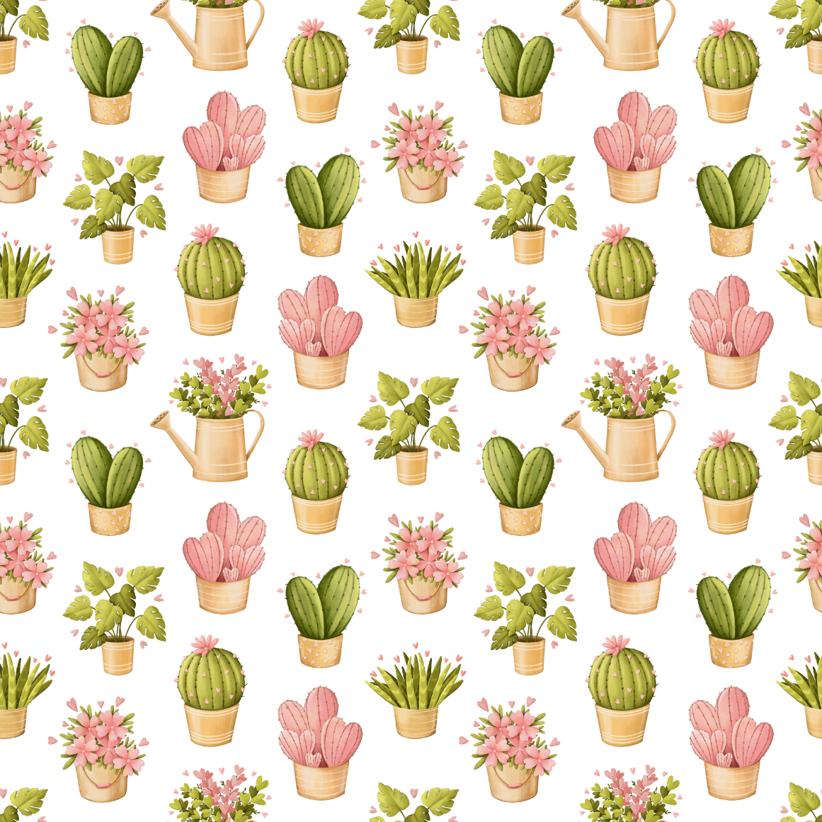 Blush Cactus