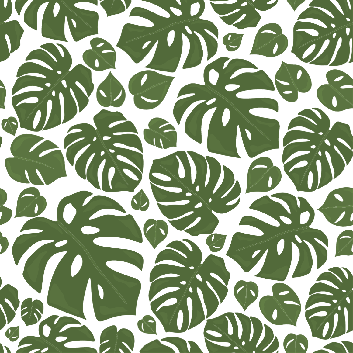 Monstera