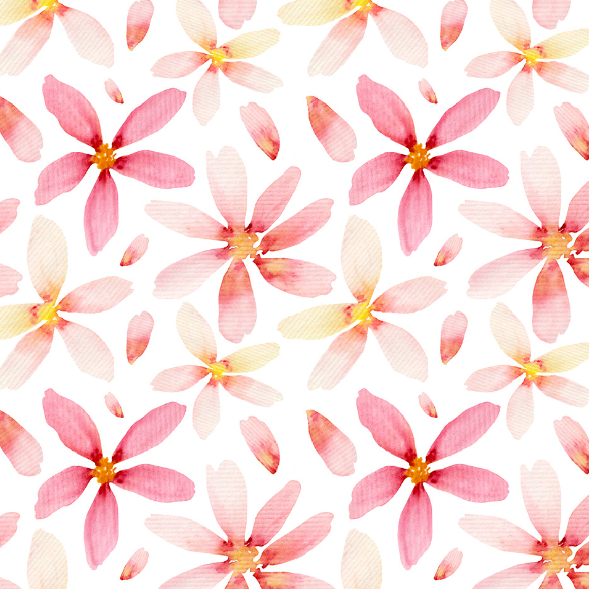 Pink and white watercolour blossoms on white background