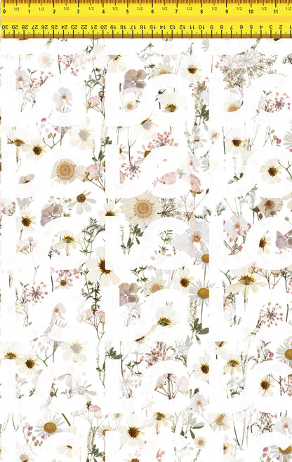 White Meadow Pressed Flowers